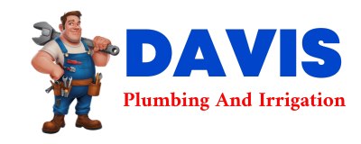 Trusted plumber in DAWSONVILLE